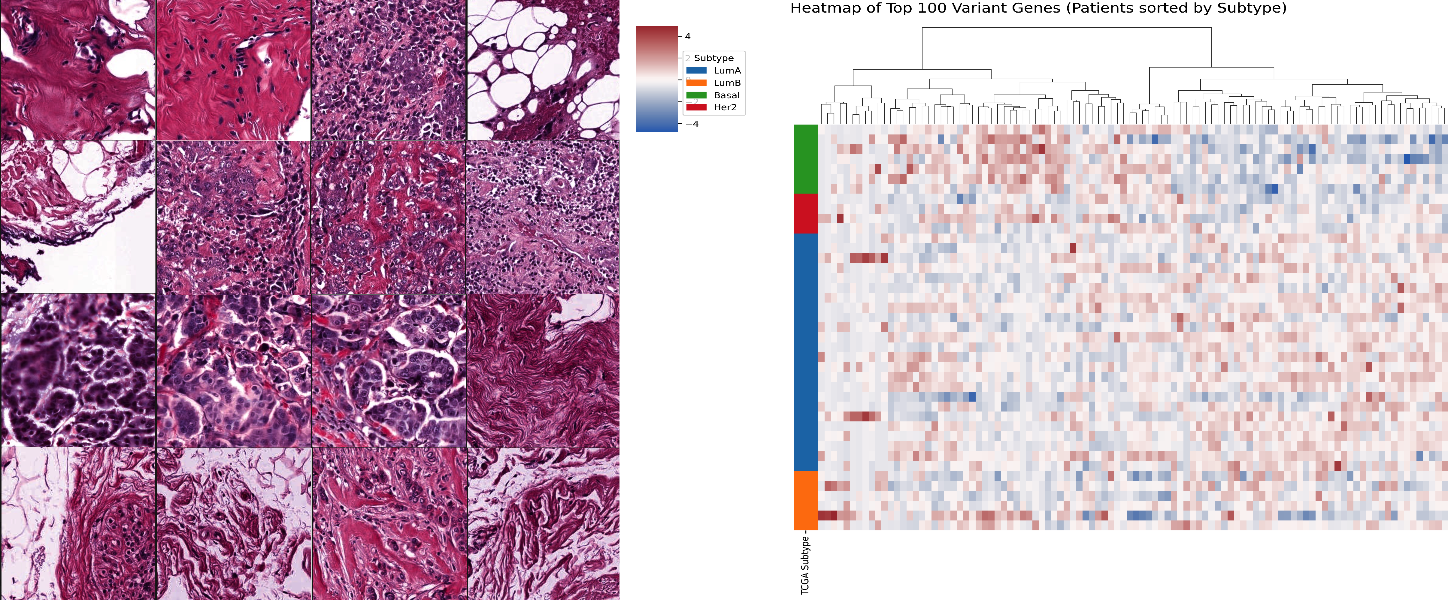 Multimodal Histopathology & Multi-omics Fusion