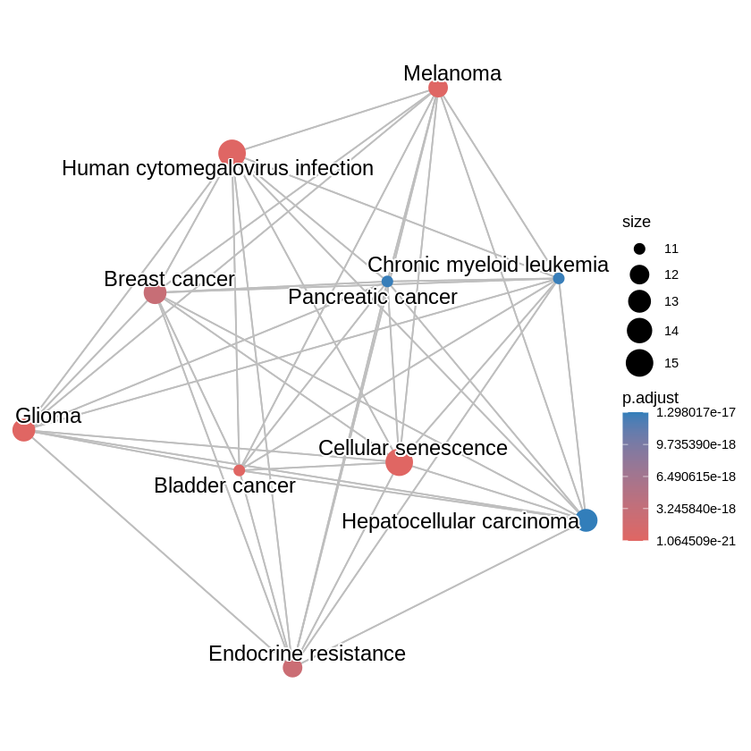 KEGG Pathway Enrichment Analysis
